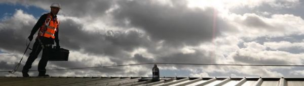 Fall protection system